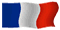 drapeau français / French flag